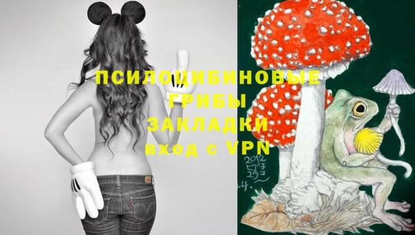 трава Верхний Тагил