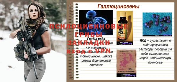 соль курить ск Богданович