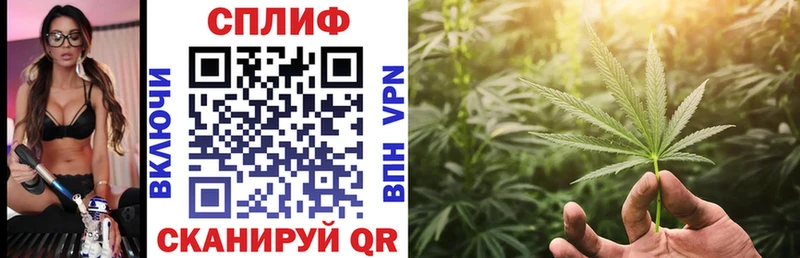 mega ССЫЛКА  Вичуга  Бошки марихуана White Widow 